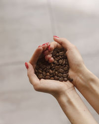 Cropped hand of person holding chestnuts