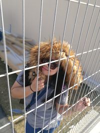 Portrait of cat in cage