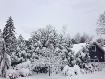 Snow covered landscape