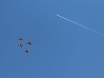 Low angle view of airshow against clear blue sky