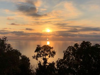 Scenic view of silhouette trees against sky during sunset