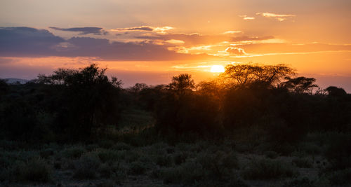 Scenic view of field against sky during sunset