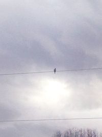 Low angle view of birds perching on power line against cloudy sky