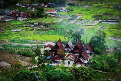 High angle view of houses and trees