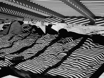 Shadow of tree on the wall