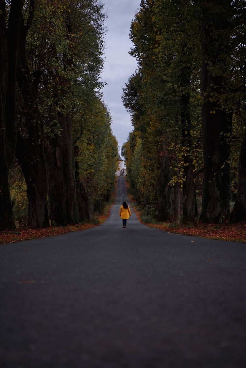 tree, direction, transportation, plant, real people, autumn, the way forward, road, one person, nature, day, change, walking, diminishing perspective, lifestyles, growth, outdoors, full length, street