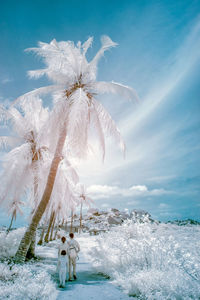 Scenic view of snow covered land against sky