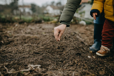 Low section of people holding soil on field