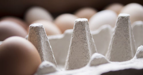 Close-up of brown eggs in carton