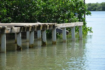 Wooden structure in lake against trees