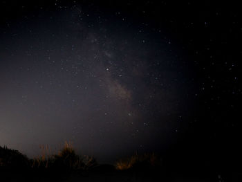 Low angle view of silhouette trees against sky at night
