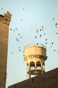 Low angle view of birds flying against sky