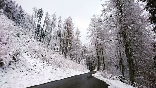 Snow covered road amidst trees in forest against sky