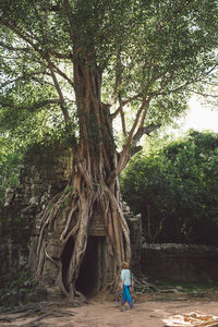 Rear view of woman walking towards temple old ruins in forest