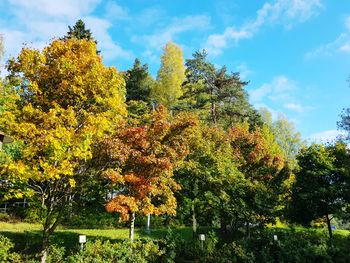 Scenic view of autumnal trees against sky