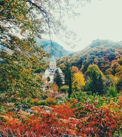 Distant church surrounded by lush foliage in autumn