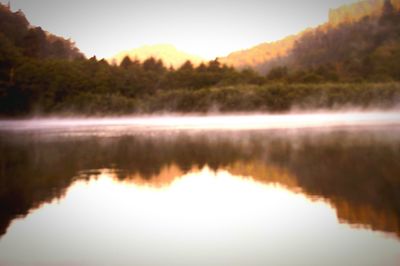 Reflection of trees in calm lake