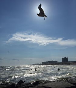 Low angle view of seagull flying over sea against sky