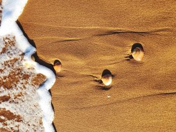 High angle view of sand on beach