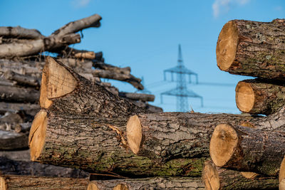 Stack of logs against sky