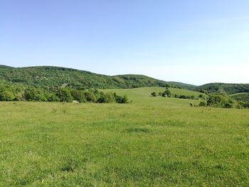 Scenic view of landscape against clear sky