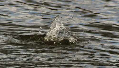 Close-up of water splashing in water