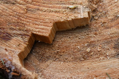 High angle view of wood at construction site