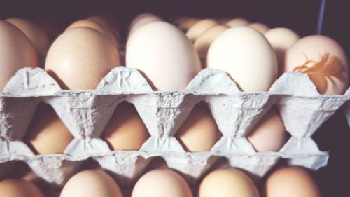 Full frame shot of eggs in carton