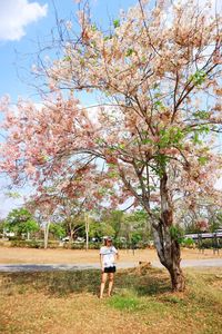 Woman standing by cherry tree in park