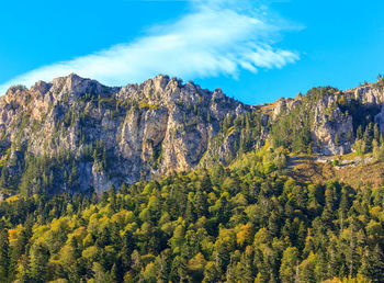 Scenic view of pine trees and mountains against sky