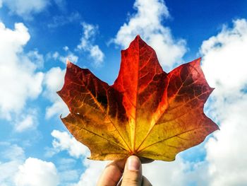 Close-up of hand holding maple leaf against sky