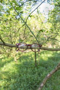 Close-up of barbed wire on field