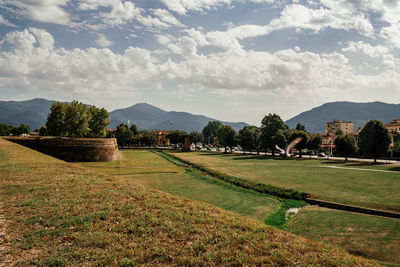 Scenic view of agricultural field against sky