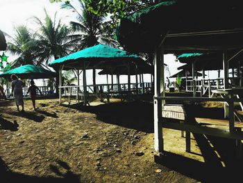 Chairs and palm trees on beach