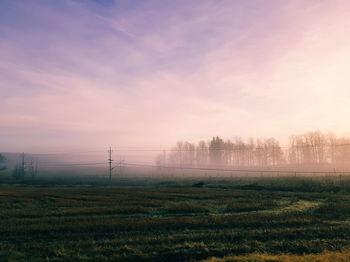 Scenic view of field against sky during sunset