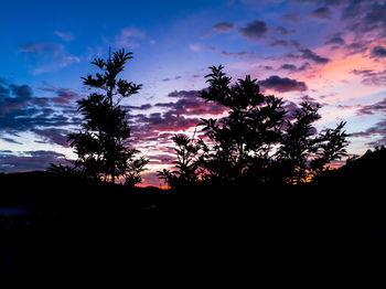 Low angle view of silhouette trees against sky during sunset