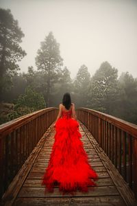 Rear view of woman standing on footbridge