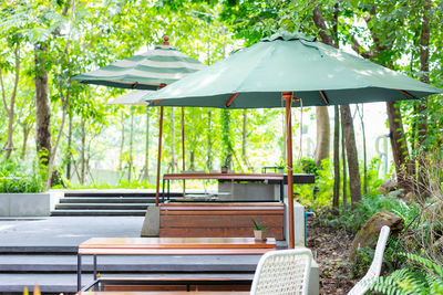 Empty chairs and table against trees in forest