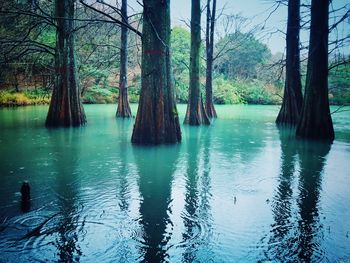 Scenic view of lake against sky during winter