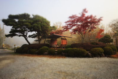 Trees growing on field