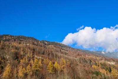 Scenic view of mountains against blue sky