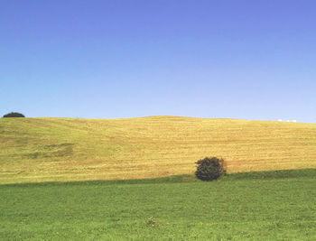 Scenic view of landscape against clear sky