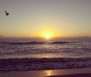 Silhouette bird flying over beach against sky during sunset