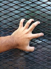 Cropped hand holding touching chainlink fence