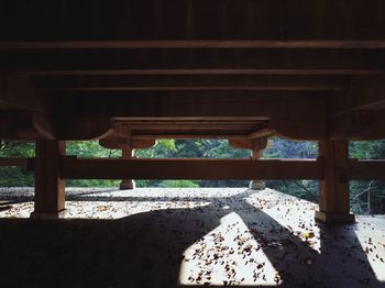Shadow of tree on wood