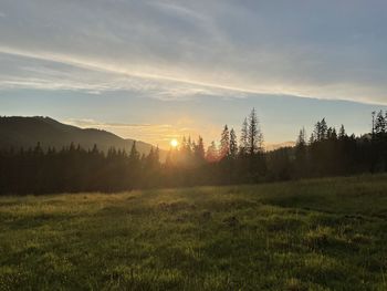 Scenic view of field against sky during sunset
