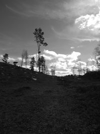 Trees on landscape against cloudy sky