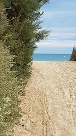 Scenic view of beach against sky