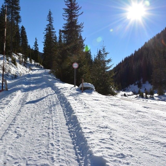 SNOW COVERED ROAD AMIDST TREES DURING WINTER