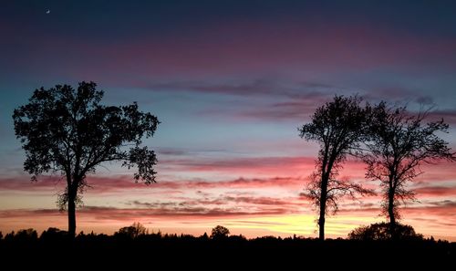 Silhouette trees on field against sky during sunset